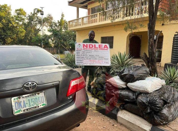 Troops intercept drug courier, recover large consignment of cannabis in Kogi