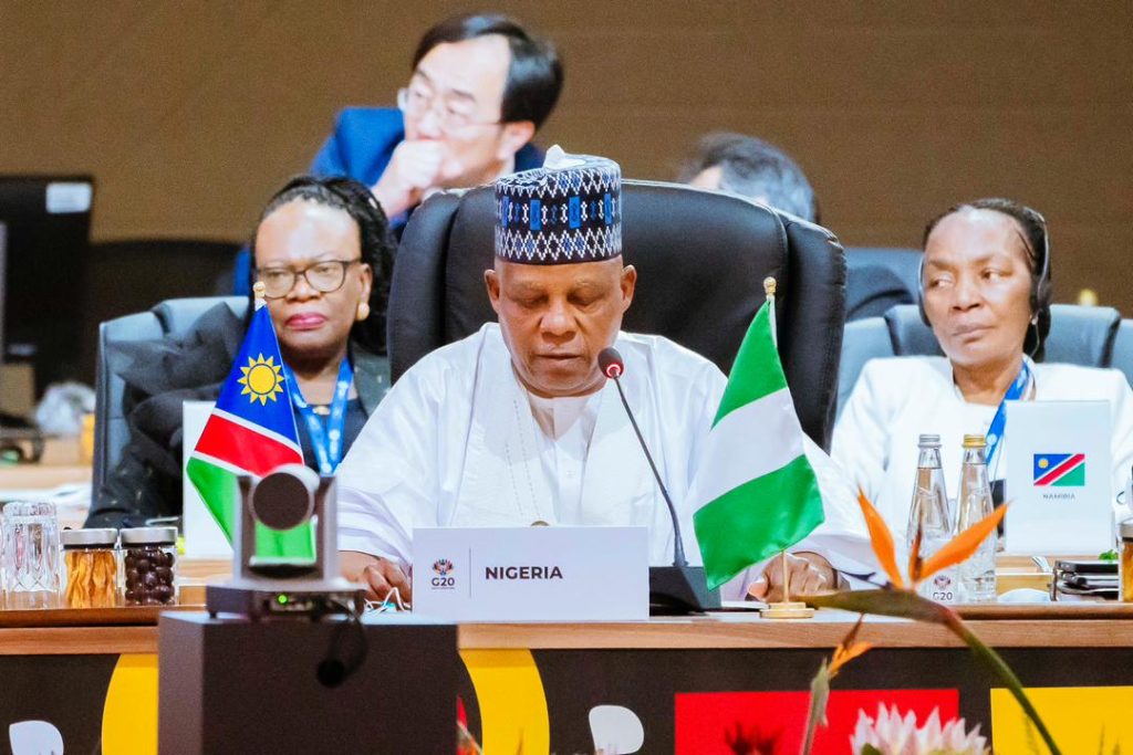 G20 summit: Tinubu demands equity in global mineral trade, AI governance 1 G20 summit: Tinubu demands equity in global mineral trade, AI governance