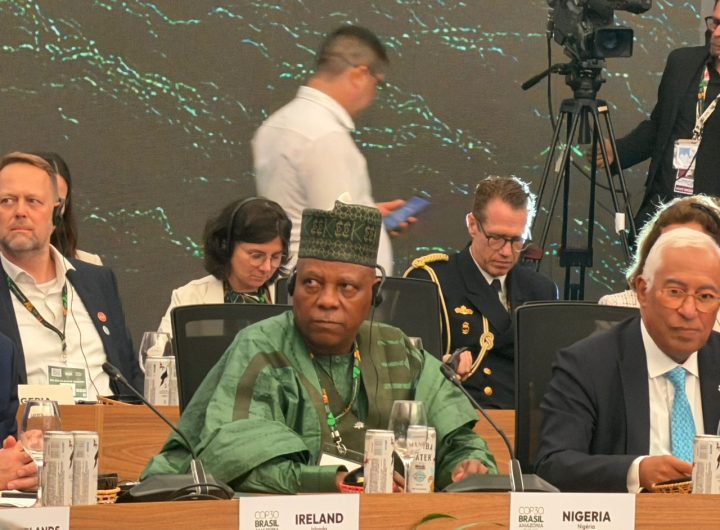 At COP 30, Nigeria demands boost in global financing to restore, protect nature