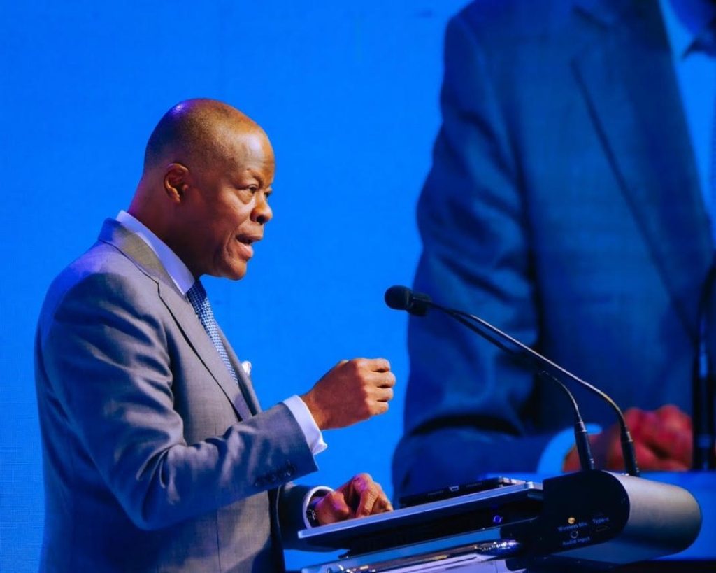 minister of finance, Wale Edun