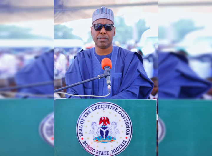 Borno State Governor Babagana Zulum