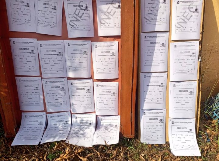 Ekiti Governorship election: INEC publishes particulars of nominated candidates