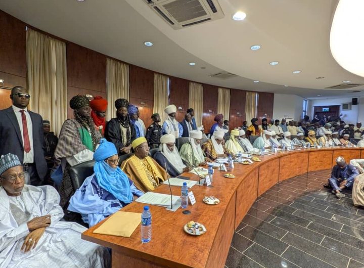 Northern governors, traditional rulers back state police, seek 6-month suspension of mining to tackle insecurity