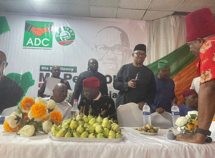 Peter Obi, South-East political heavyweights dump LP, declare for ADC in Enugu