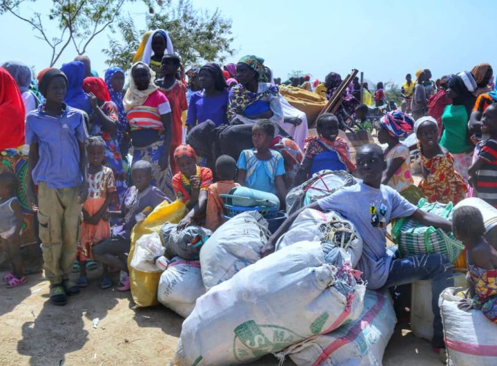 Borno to repatriate  3,000 refugees from Cameroon after 11 years 