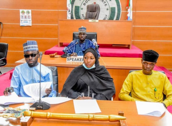 Borno Youth Parliament calls for urgent action to address Gender-Based Violence