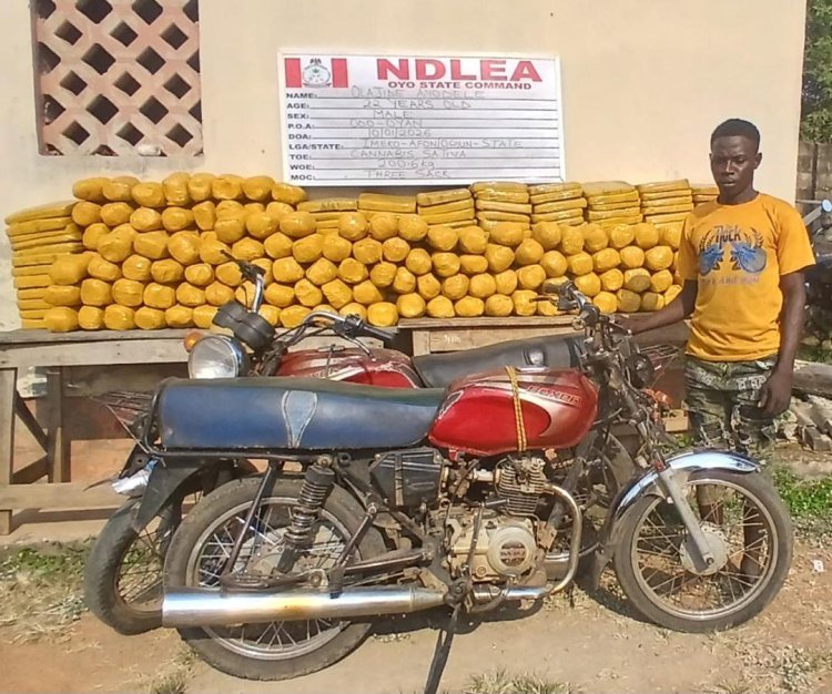 NDLEA nabs drug suspects