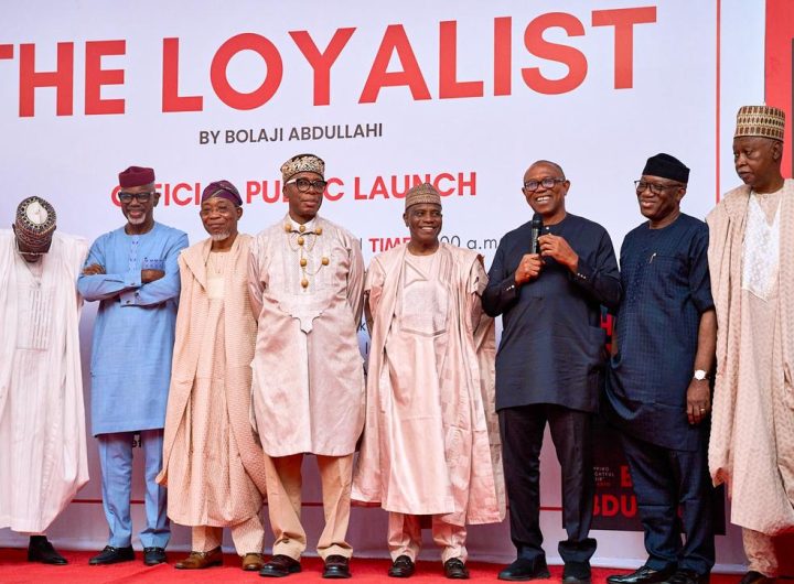 Loyalty often lies with self-interest and looting — Peter Obi blasts politicians