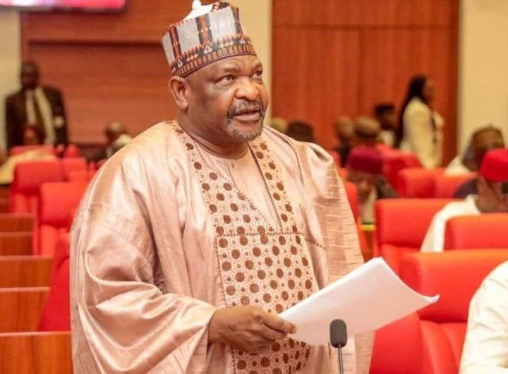 Senator Abdul Ningi