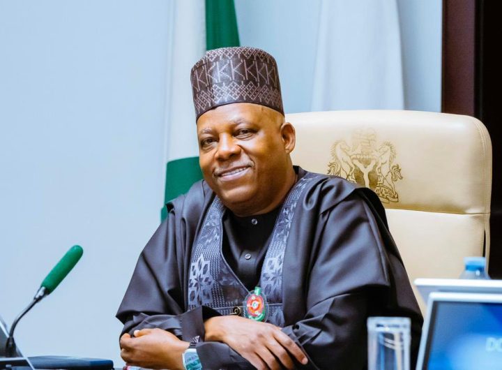 Nigerian Vice President Kashim Shettima