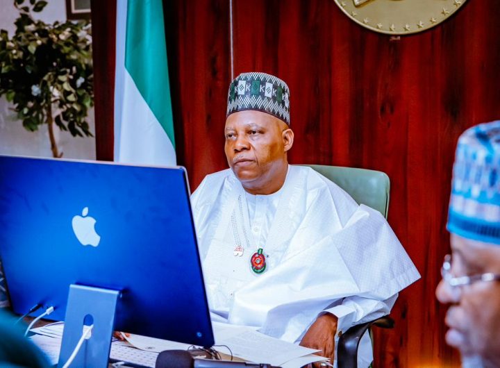 NEC moves to boost non-oil revenue as Shettima says Agriculture now drive Nigeria’s economy