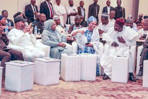 Youth's energy sustains APC momentum, says Mahmoud