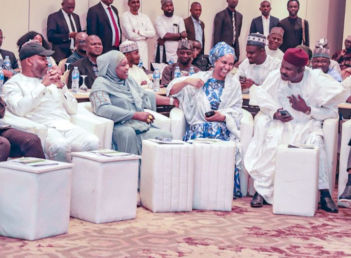 Youth's energy sustains APC momentum, says Mahmoud