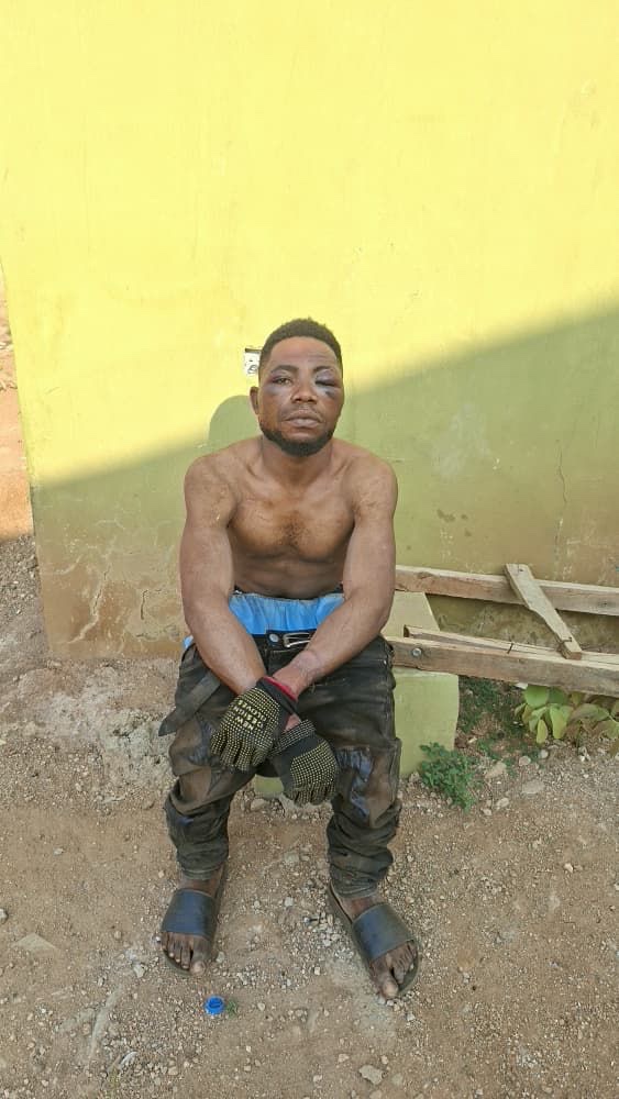 bandits logistics suppliers