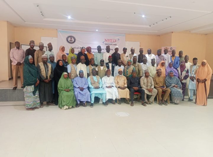 NHED commended for boosting malaria diagnosis, treatment in Borno