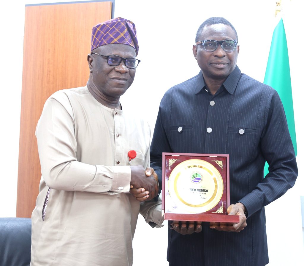 How EFCC stopped contractor from using substandard transmission lines to execute power contract – Olukoyede 1 EFCC chairman and SON MD