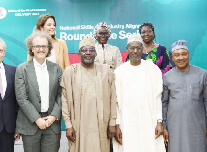 FG targets millions of Nigerian youths for skill acquisition, rallies global partners