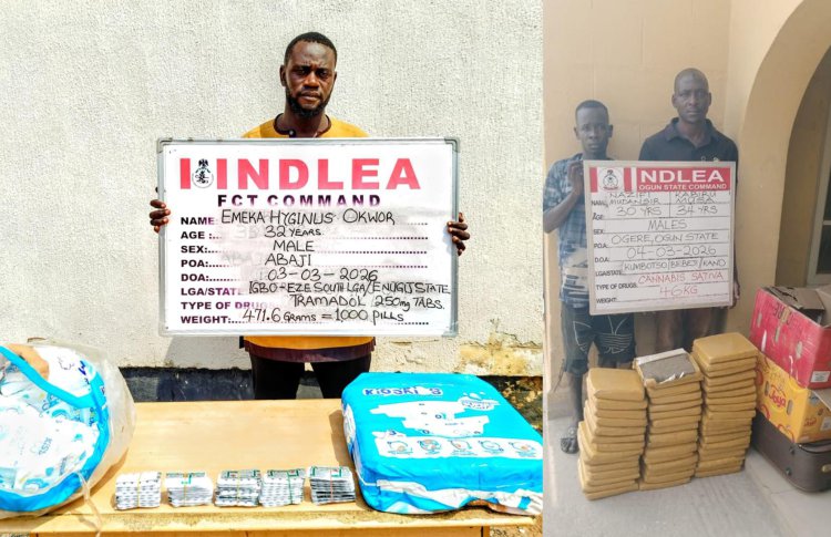 Ex-Lagos councilor arrested as NDLEA recovers illicit drugs in baby diapers