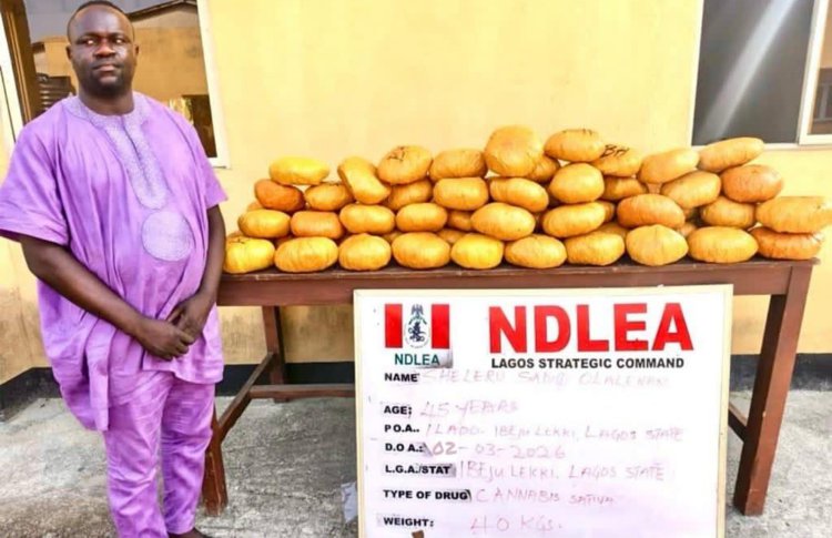 https://www.nationalaccordnewspaper.com/ex-lagos-councilor-arrested-as-ndlea-recovers-illicit-drugs-in-baby-diapers/
