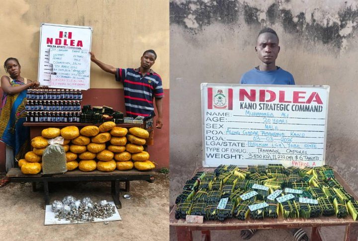 NDLEA intercepts 500 IED components in Niger State, arrests Cameroonian with ‘Colorado’ Cannabis in Kog