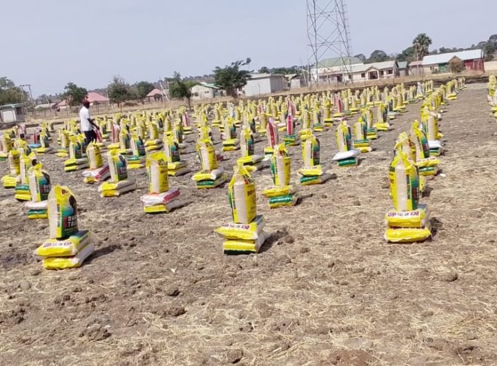 Ramadan: Rep. Balami distributes food items to 3,300 families in Askira-Uba, Hawul