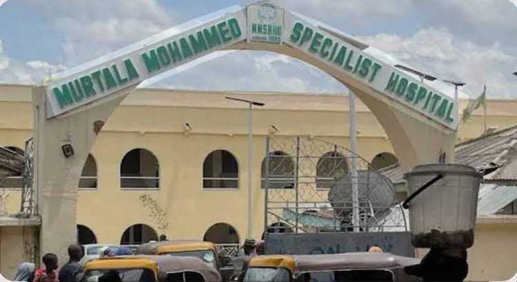 Kano mother dies hours after delivering quintuplets