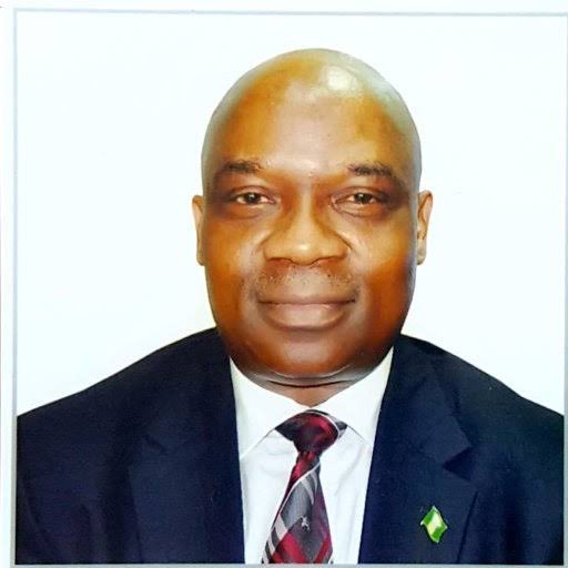 Minister of State for Foreign Affairs, Ambassador Sola Enikanolaiye