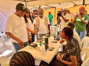 INEC flags off mega voters registration exercise in Lagos