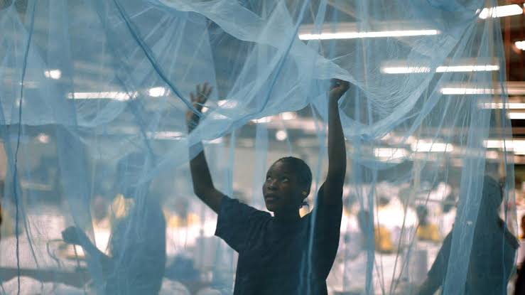 Mosquito nets to prevent malaria