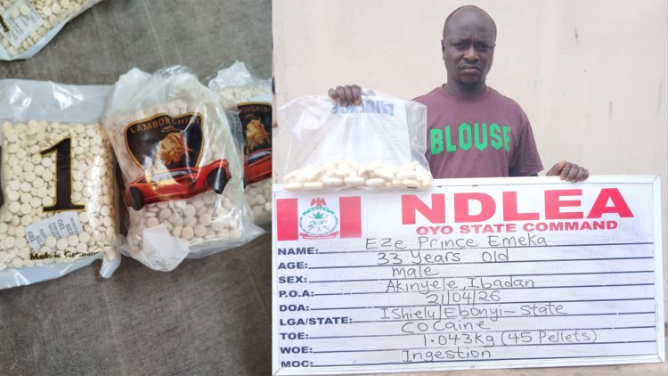 https://www.nationalaccordnewspaper.com/ndlea-intercepts-terror-drug-captagon-in-kwara-as-businessman-excretes-45-cocaine-wraps/