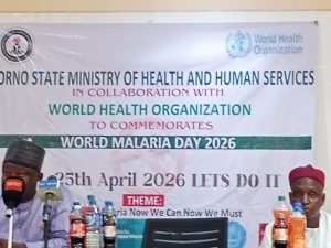 World Malaria Day 2026: Borno, WHO intensify fight with free treatment, outreach to hard-to-reach communities
