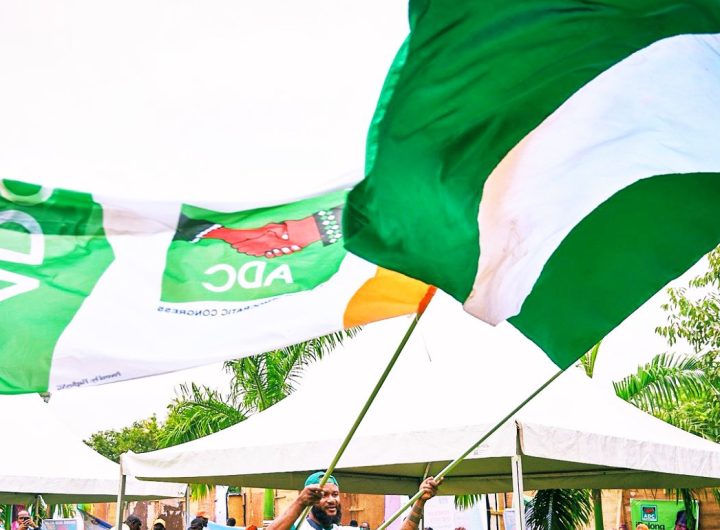 ADC urges unity ahead of presidential primaries 4 ADC flags