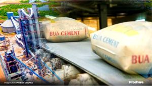 BUA Cement forecasts price drop, plans expansion as FX stability cuts costs 2 BUA Cement forecasts price drop, plans expansion as FX stability cuts costs