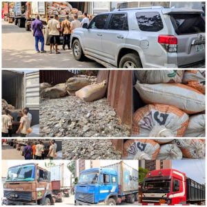 Illegal mining: Court orders final forfeiture of mining site, trucks, lithium stones to FG 2 Illegal mining: Court orders final forfeiture of mining site, trucks, lithium stones to FG