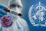 NOA issues public health advisory over Ebola Virus scare 6 Ebola virus