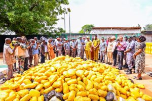 Customs hits cross-border smugglers in Ogun, hands over seized cannabis to NDLEA 3 Ogun I Customs hits cross-border smugglers, hands over seized cannabis to NDLEA