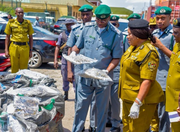 Tican Customs intercepts 4,173.5kg of cannabis valued at ₦16.6 billion 3 Tican Customs intercepts 4,173.5kg of cannabis valued at ₦16.6 billion