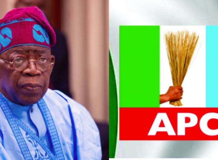APC presidential primaries: Tinubu defeats Osifor in Benue 1 President Bola Tinubu APC