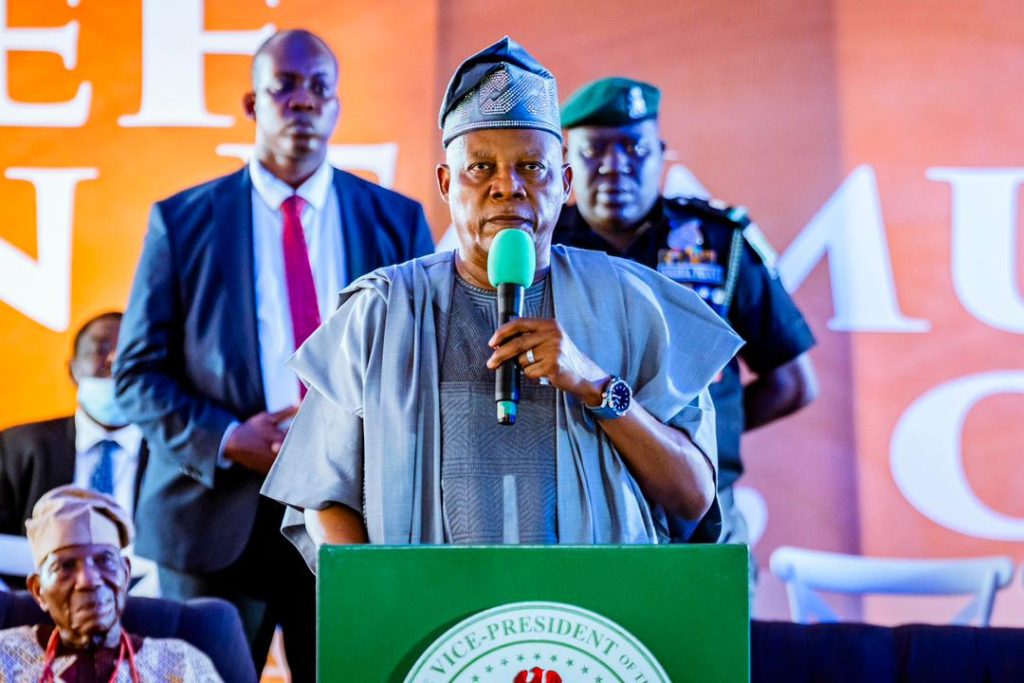 VP Kashim Shettima