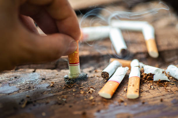 World No Tobacco Day: Cigarette filters threaten environment, farmlands — Climate reporters 1 By AMOS MATHEW, Kaduna