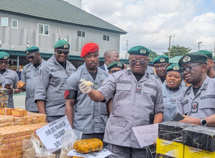 3 arrested as Oyo/Osun Customs busts firearms smuggling ring 33 3 arrested as Oyo/Osun Customs busts firearms smuggling ring