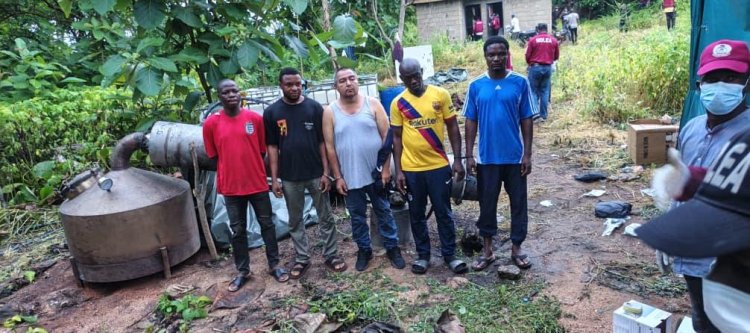 NDLEA uncovers industrial-scale meth lab in Oyo forest, arrests Mexican, 4 others, seizes multi-billion-naira drugs 1 NDLEA uncovers industrial-scale meth lab in Oyo forest