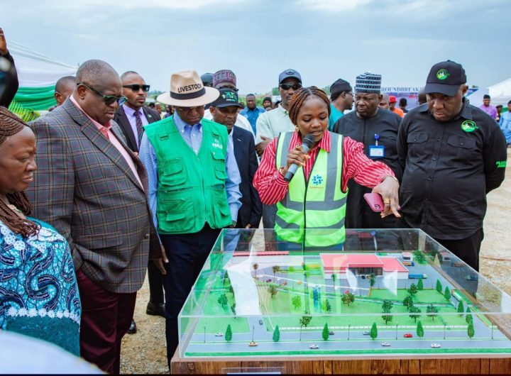 Plateau launches 500-cattle-per-day mega abattoir to become Nigeria’s livestock processing hub 2 Plateau launches 500-cattle-per-day mega abattoir to become Nigeria’s livestock processing hub