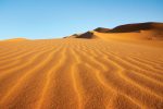 49 persons reportedly died of thirst in Sahara desert 24 49 persons reportedly died of thirst in Sahara desert