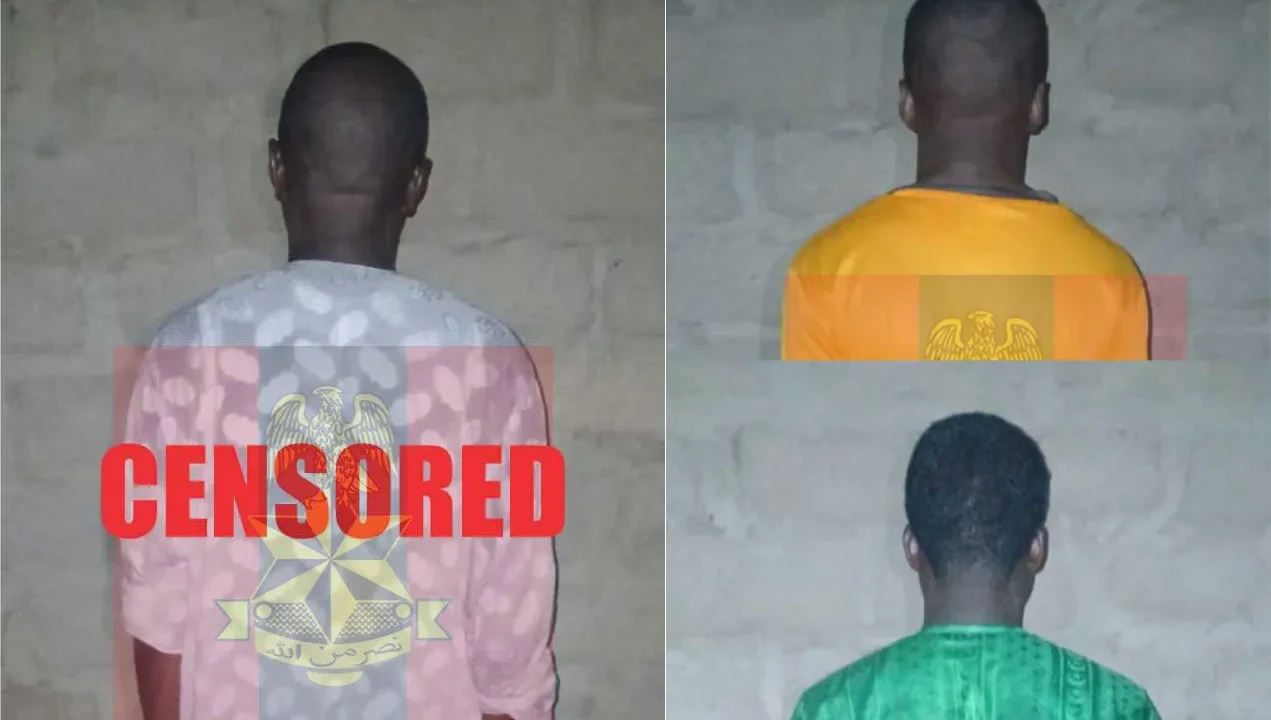 Top ISWAP commanders, 76 terrorists surrender to troops in North-East