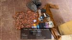 Troops intercept arms courier in Zamfara, recover over 1,000 rounds