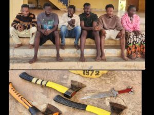 Ondo police arrest 6 cultists, recover weapons, charms in Akoko 2 Ondo police arrest 6 cultists, recover weapons, charms in Akoko