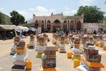 Allamin Foundation, EU, UNDP empower 300 Gwoza residents with livelihood kits to deepen peace, reintegration