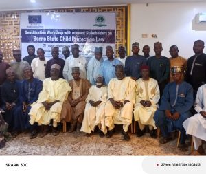 Borno moves to enforce child protection law, rallies stakeholders against abuse, trafficking 2 Borno moves to enforce child protection law, rallies stakeholders against abuse, trafficking
