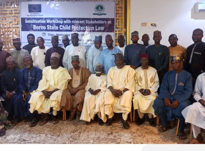 Borno moves to enforce child protection law, rallies stakeholders against abuse, trafficking 12 Borno moves to enforce child protection law, rallies stakeholders against abuse, trafficking